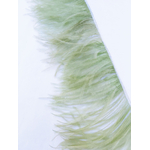 frange autruche vert tilleul plume