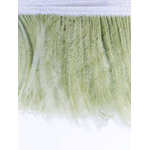 galon autruche vert tilleul plume