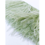 frange autruche tilleul plume