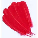 plume palette dinde grande rigide rouge