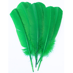 plume palette dinde grande rigide vert