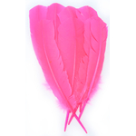 plume palette dinde grande rigide rose fluo