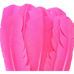 plume palette de dinde grande rigide rose fluo