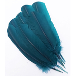 plume palette dinde grande rigide bleu petrole