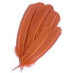 plume palette dinde grande rigide orange cuivre