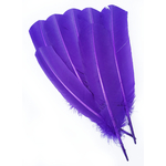 plume palette dinde grande rigide violet