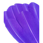 plume palette de dinde grande rigide violet