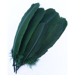 plume palette dinde grande rigide vert fonce
