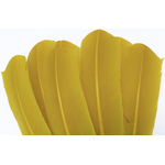 plume palette dinde grande rigide jaune moutarde
