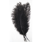 plume autruche spadone grande rigide noir