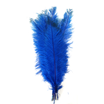 plume autruche spadone grande rigide bleu royal