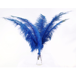 plume autruche spadone grande bleu royal