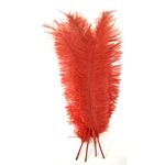 plume autruche spadone grande rouge
