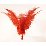 plume autruche spadone rigide grande rouge