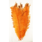 plume autruche spadone grande orange fluo