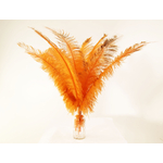 plume autruche spadone grande rigide orange fluo