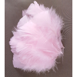 plume dinde petite coquille duveteuse rose pale