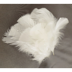 plume de dinde petite coquille duveteuse ecru