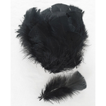 plume dinde petite coquille duveteuse noir