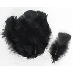 plume de dinde petite coquille duveteuse noir