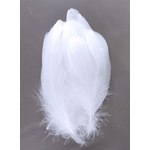 plume palette de dinde petite blanc