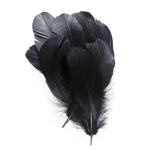 plume palette de dinde petite souple noir