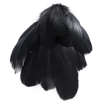 plume palette de dinde petite noir