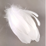 plume palette de dinde petite blanc casser