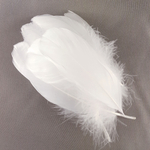 plume palette de dinde petite ivoire
