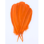 plume grande palette dinde orange