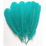plume grande palette dinde rigide vert emeraude