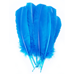 plume grande palette dinde turquoise bleu