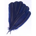 plume grande palette dinde bleu marine de qualite