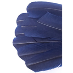 plume grande palette dinde bleu marine