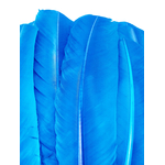 plume grande palette dinde bleu turquoise