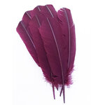 plume grande palette dinde prune de qualite