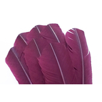 plume grande palette dinde prune