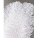 plume autruche souple blanc de qualite