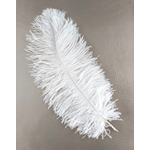 plume autruche souple blanc legere