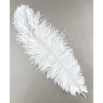 plume autruche souple blanc