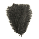 plume autruche souple noir aerienne