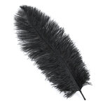 plume autruche souple noir legere