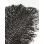 plume autruche souple noir belle