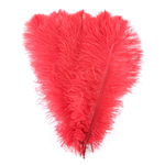 plume autruche souple rouge jolie