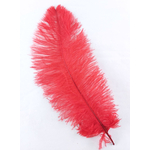 plume autruche souple rouge de qualité