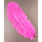 plume autruche souple rose fluo belle