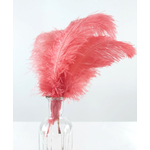 plume autruche souple rose indien