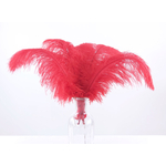 plume autruche souple rouge