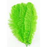 plume autruche souple vert fluo jolie