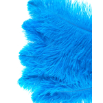 plume autruche souple turquoise